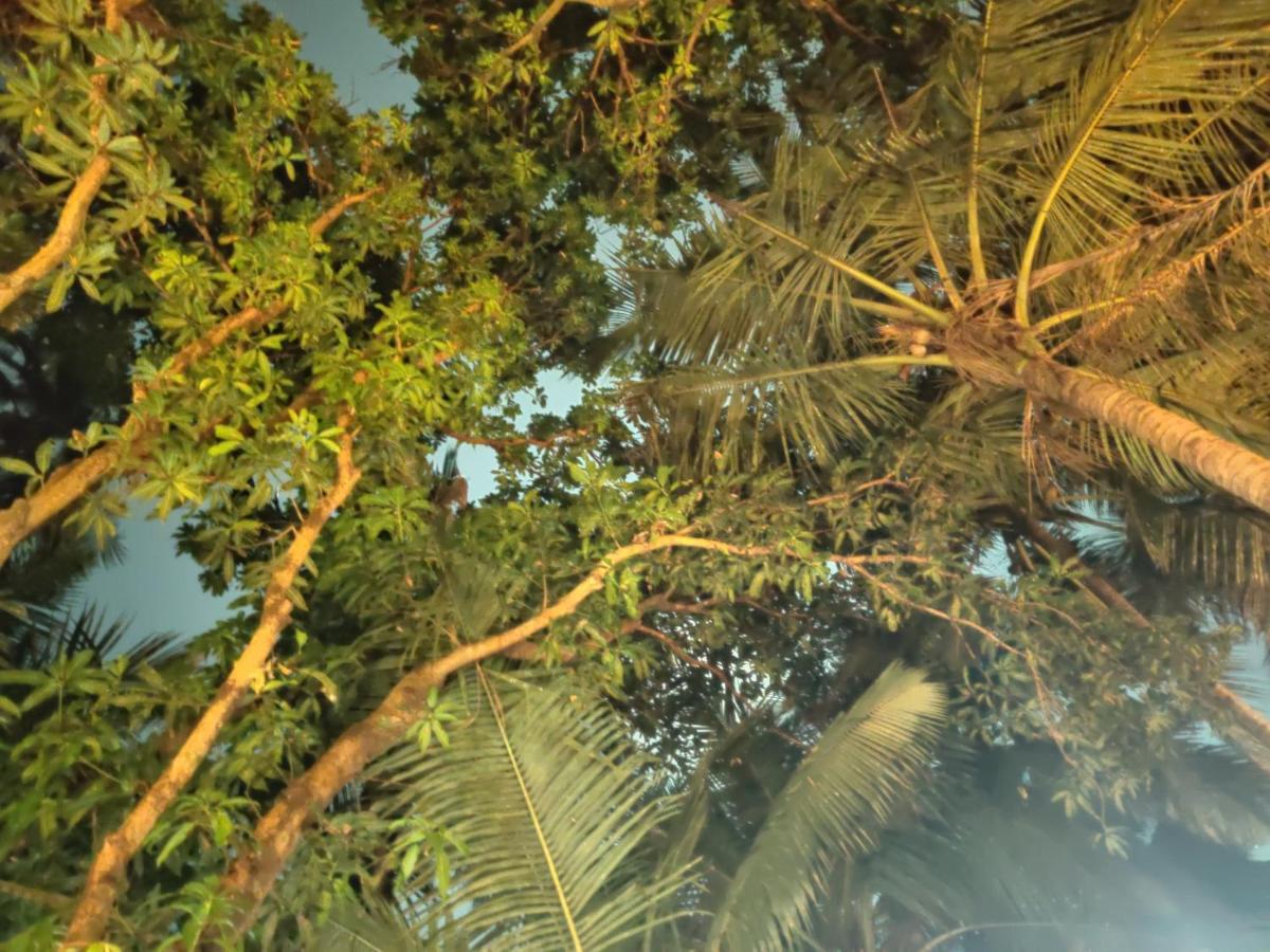 Namahstay Eco Hostel & Coworking & Art Community Space Arambol Bagian luar foto