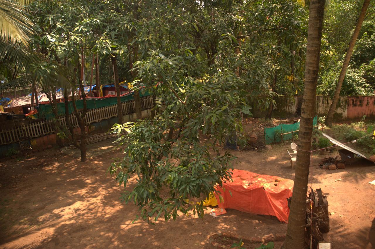 Namahstay Eco Hostel & Coworking & Art Community Space Arambol Bagian luar foto